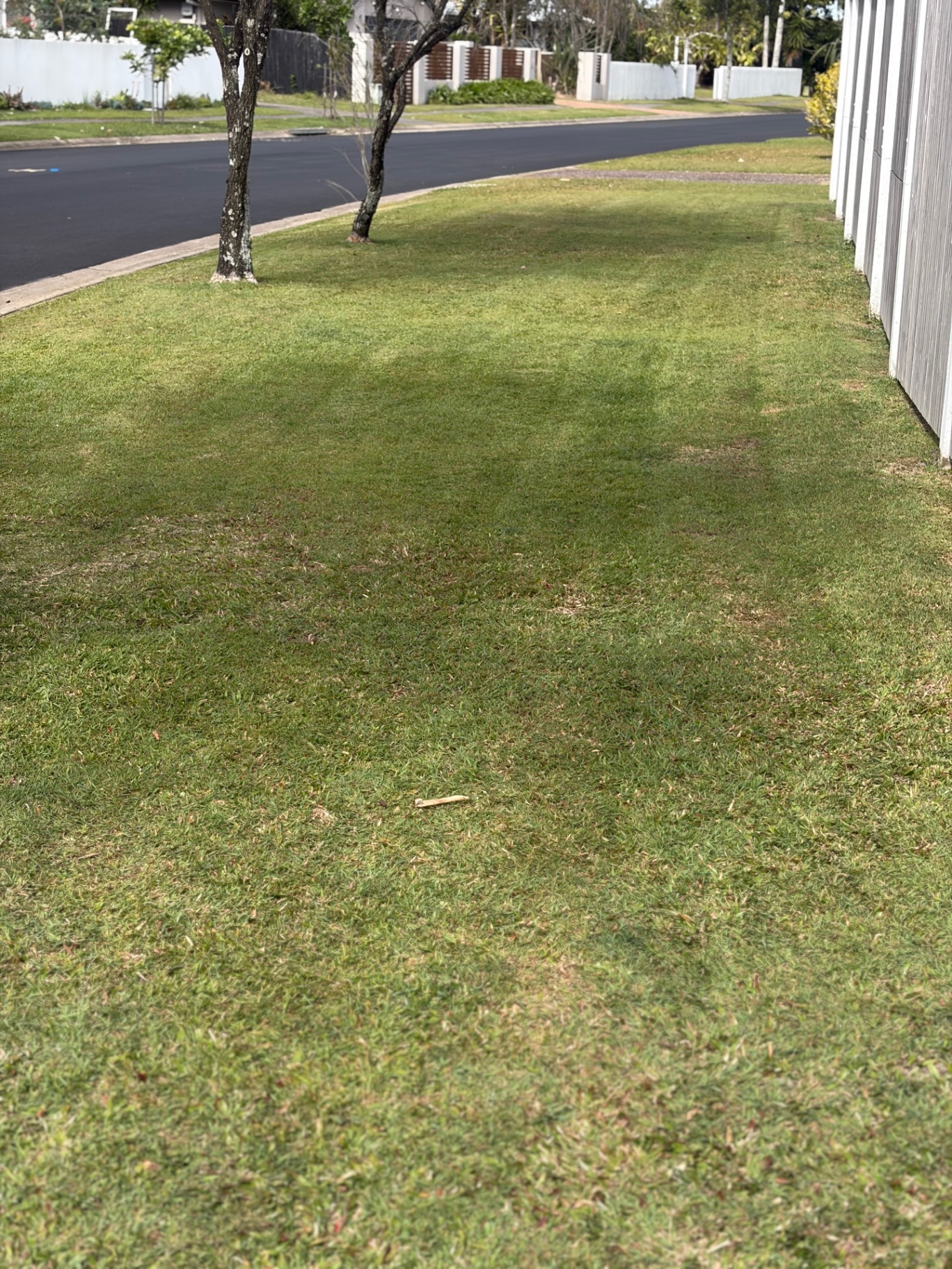 Wide nature strip and verge lawn mowed evenly along a residential street