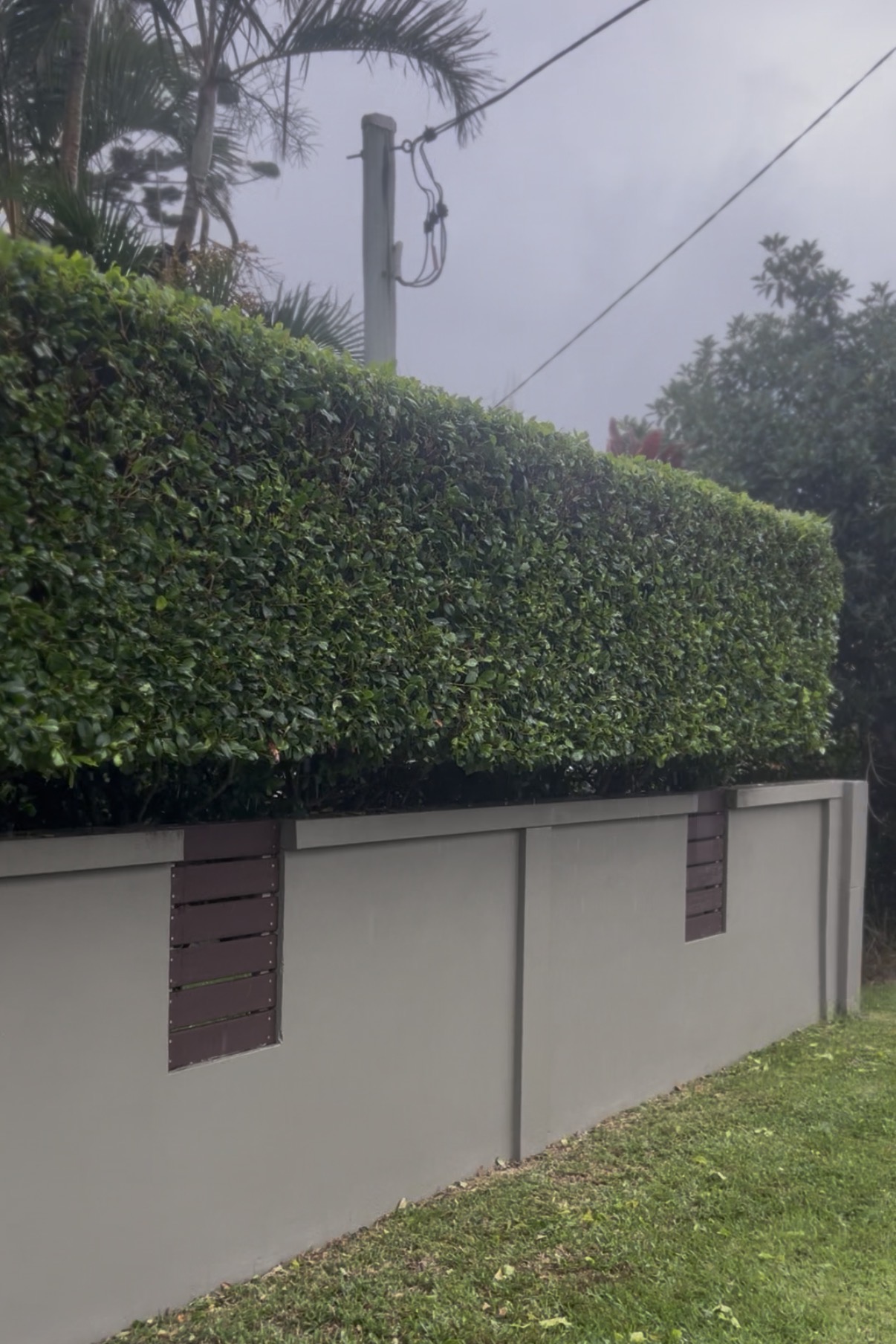 Long hedge trimmed flat and level above a rendered retaining wall beside a lawn